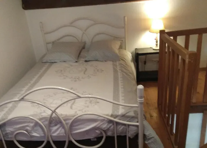 Avez Mezzanine Et Petit Jardin Apartament