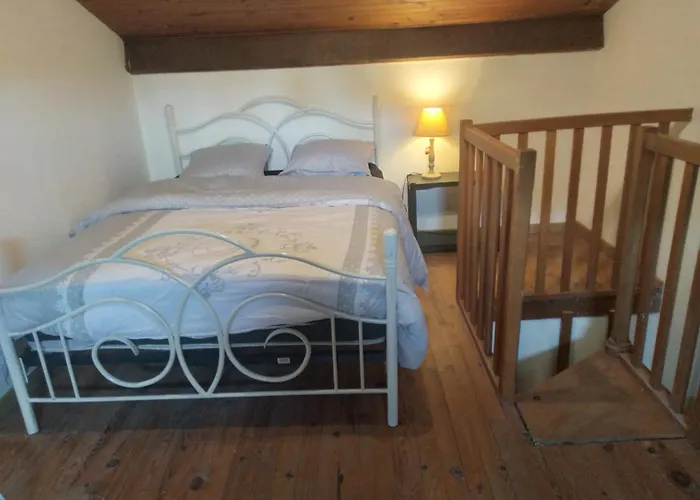 Avez Mezzanine Et Petit Jardin Apartament Montélimar