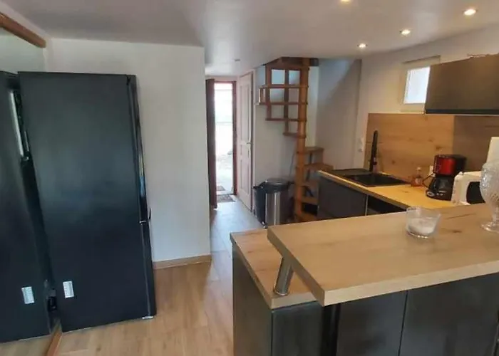 Avez Mezzanine Et Petit Jardin Apartament *