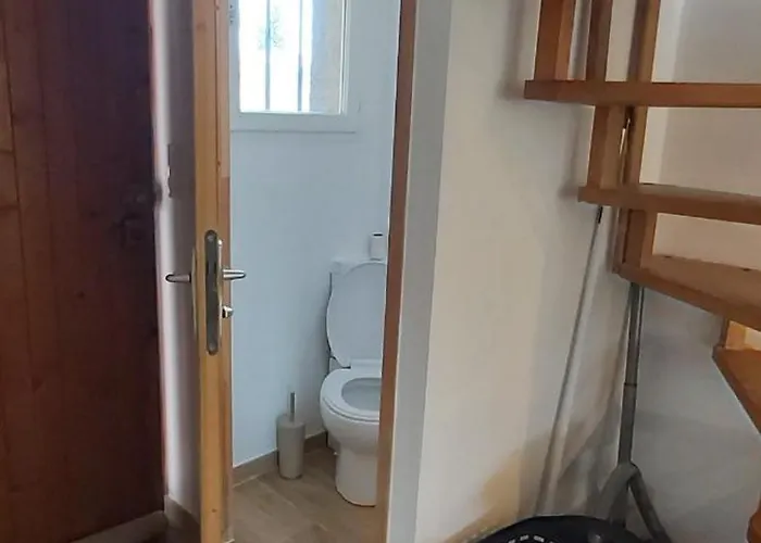 Avez Mezzanine Et Petit Jardin